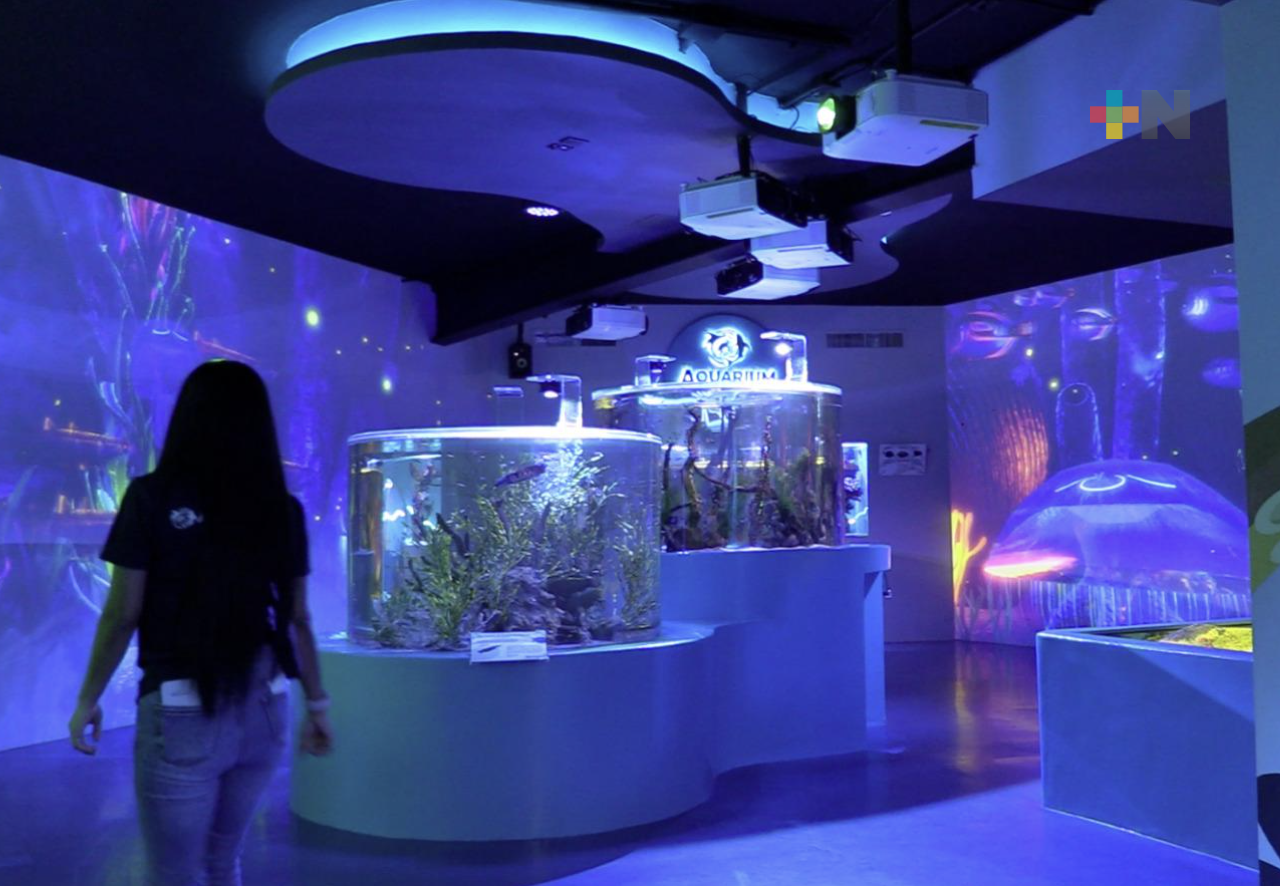 Ven a conocer las nuevas áreas del  Aquarium del puerto de Veracruz